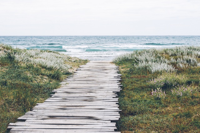 landing-stage-sea-nature-beach
